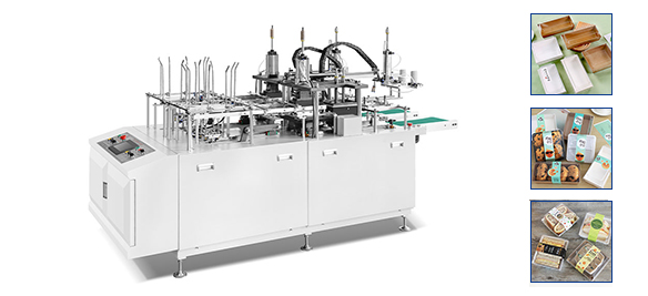 Máquina automática para fabricar cajas de pasteles ZX-600